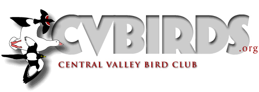 cvbs-logo